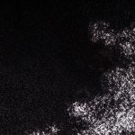 鲍利葛系列木素