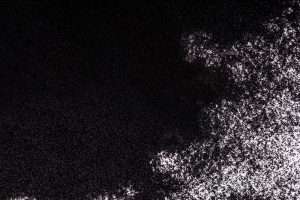 鲍利葛系列木素